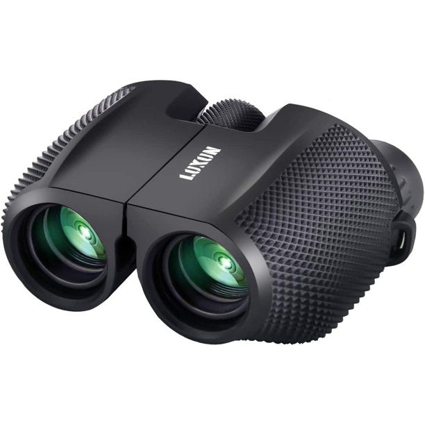 SGODDE Compact Binoculars, 10 x 25mm Fully Coated Porro Prism Waterproof Binocular, Weak Light Night Vision, Folding High Powered Clear